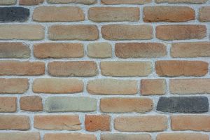 Brick slips, exterior / interior, multicolor, Belize Salmon