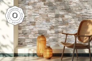 Stone cladding, exterior / interior, multicolor, Prostack Charme